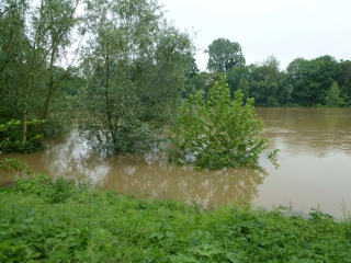 LE PECQ -CHATOU - LACS ET SEINE DES IMPRESSIONNISTES (2)-yvelines