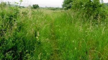 MOUSSEAUX - BOUCLE DE MOISSON-yvelines