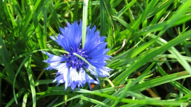 BOUCLE DE VILLIERS-LE-MAHIEU-yvelines