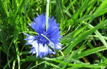 BOUCLE DE VILLIERS-LE-MAHIEU-yvelines