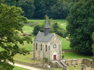 FORET DOMANIALE DE PORT-ROYAL-yvelines