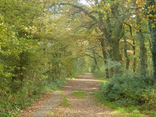 BASE DE LOISIR DE SAINT QUENTIN EN YVELINES-yvelines