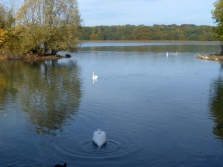 BASE DE LOISIR DE SAINT QUENTIN EN YVELINES-yvelines