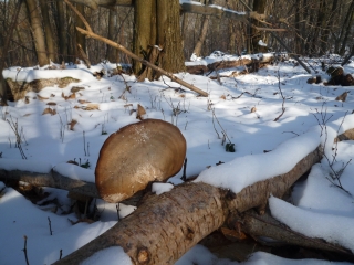 ETANG-LA-VILLE - CHAMBOURCY-yvelines