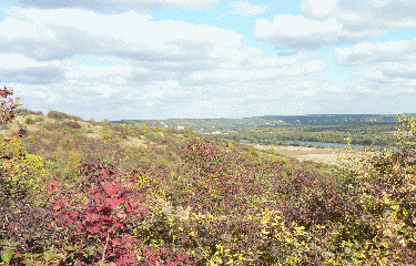 coteaux de la Seine -yvelines