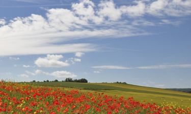 MEULAN-EN-YVELINES - LES 5 CLOCHERS-yvelines