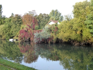 DE POISSY A SAINT GERMAIN   NATURE ET CULTURE-yvelines