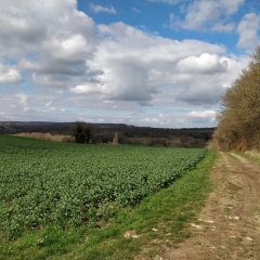 MANTES-LA-JOLIE - PLATEAU DU VEXIN SUD ET VALLEE DE SEINE-yvelines