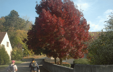 Oinville - Seraincourt-yvelines