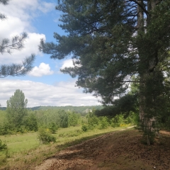 BONNIERES-SUR-SEINE - RESERVE NATURELLE DE LA BOUCLE DE MOISSON-yvelines