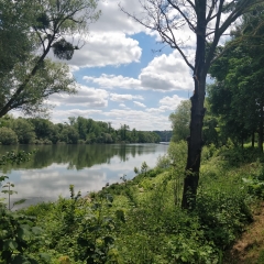 BONNIERES-SUR-SEINE - RESERVE NATURELLE DE LA BOUCLE DE MOISSON-yvelines
