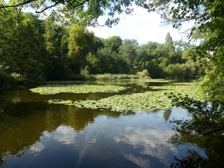 DES BORDS DE SEINE A MARNE LA COQUETTE EN PASSANT PAR LA FORET DE RUEIL-MALMAISON-yvelines
