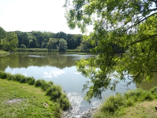 DE VIROFLAY RD A CHAVILLE RD EN PASSANT PAR LE FORET DE MEUDON-yvelines