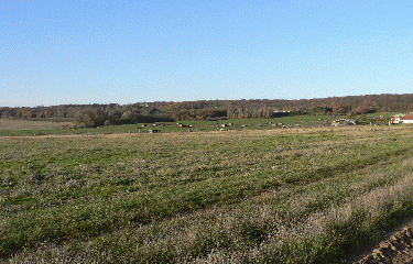 PLAINE DE VERSAILLES-yvelines