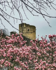 MANTES LA JOLIE GARE - GITE DE GROUPE LE PINGOUIN-yvelines