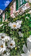 GITE LE PINGOUIN -  VERNON GARE-yvelines