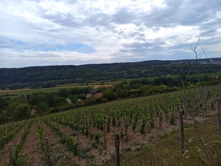 BOUCLE DE SEINE - COTEAUX DE GIVERNY-yvelines