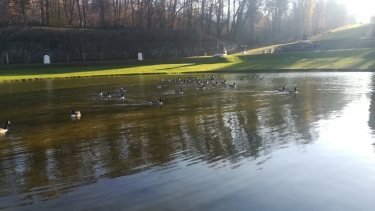 ENTRE LOUVECIENNE ET MARLY-LE-ROI-yvelines