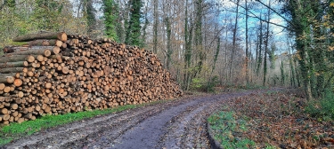 JOUY-EN-JOSAS - OBERKAMPF-yvelines