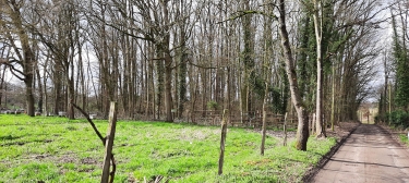 LES LOGES-EN-JOSAS - SENTIER DES COTES DE MONTBRON-yvelines