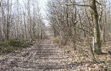VAUX LES HUGUENOTS-yvelines