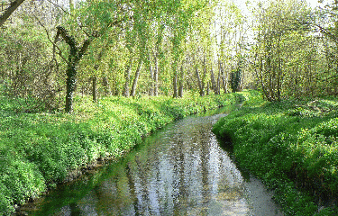 RENNEMOULIN-yvelines