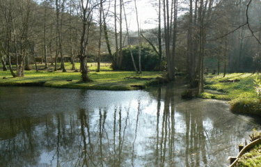 ETANGS DE CERNAY-yvelines