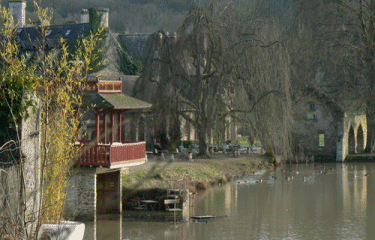 ETANGS DE CERNAY-yvelines