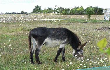 AUTOUR D ORVILLIERS-yvelines