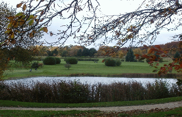 DESERT DE RETZ - FORET DE MARLY-yvelines