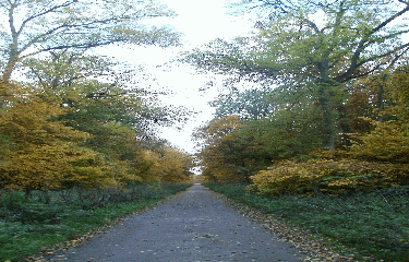 DESERT DE RETZ - FORET DE MARLY-yvelines