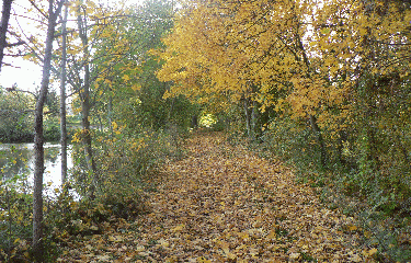 FLINS-SUR-SEINE-yvelines