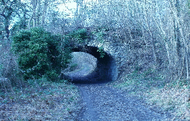 VAUX-SUR-SEINE(2)-yvelines