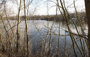 ETANG DE LA GALIOTTE-yvelines
