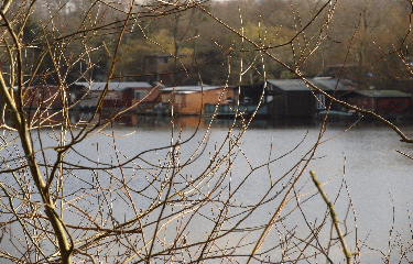 ETANG DE LA GALIOTTE-yvelines