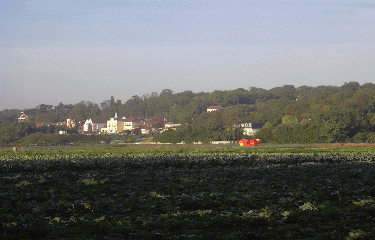 MAISONS-LAFFITTE - VESINET-yvelines