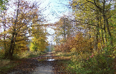 MAISONS-LAFFITTE - VESINET-yvelines