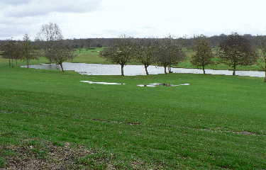 FORET DE MARLY(2)-yvelines