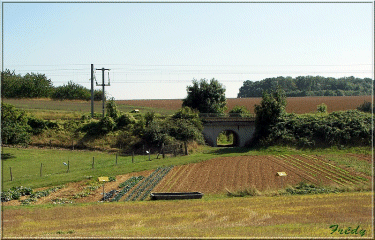 VALLEE DE LA TAUPE-yvelines