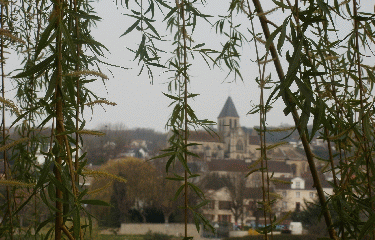ETANG DU GALLARDON-yvelines