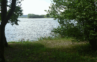 SAINT MARTIN LA GARENNE-yvelines