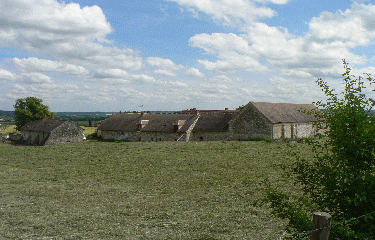 FORET DE BEYNES-yvelines
