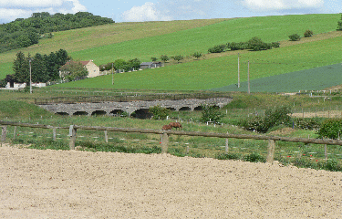 FORET DE BEYNES-yvelines