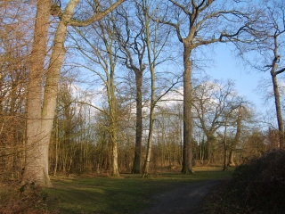 BORDS DE SEINE ET FORET-yvelines
