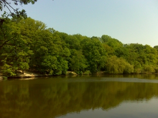 ETANGS - FORET DE MEUDON-yvelines