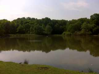ETANGS - FORET DE MEUDON-yvelines
