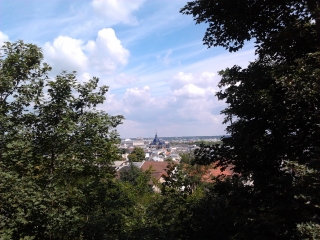 FORET DE VERSAILLES-yvelines