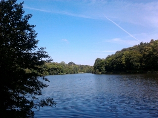 FORET DE VERSAILLES-yvelines