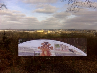 VIROFLAY - SAINT CYR - BUC-yvelines