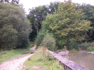 ETANG DE GRUYER-yvelines